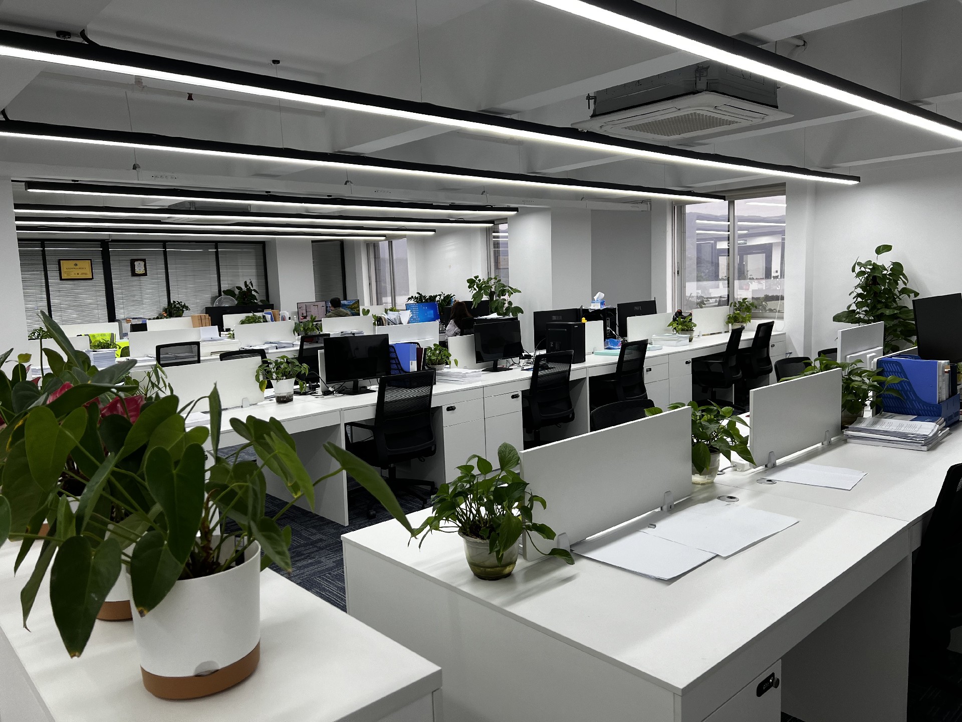 办公2区.jpg